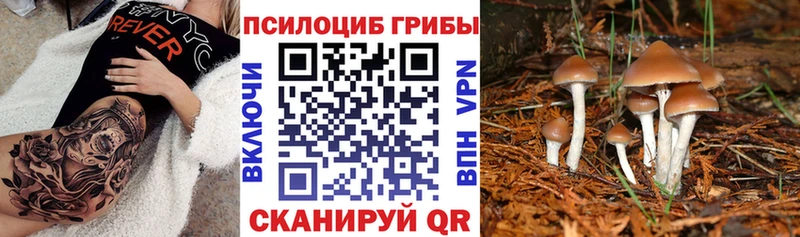 Галлюциногенные грибы Psilocybe  как найти закладки  Калуга 